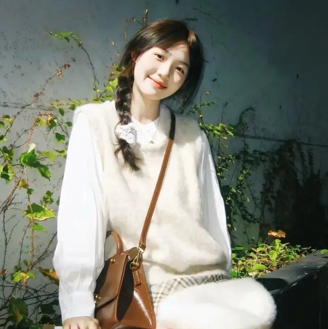 恰似南风遇凉栀